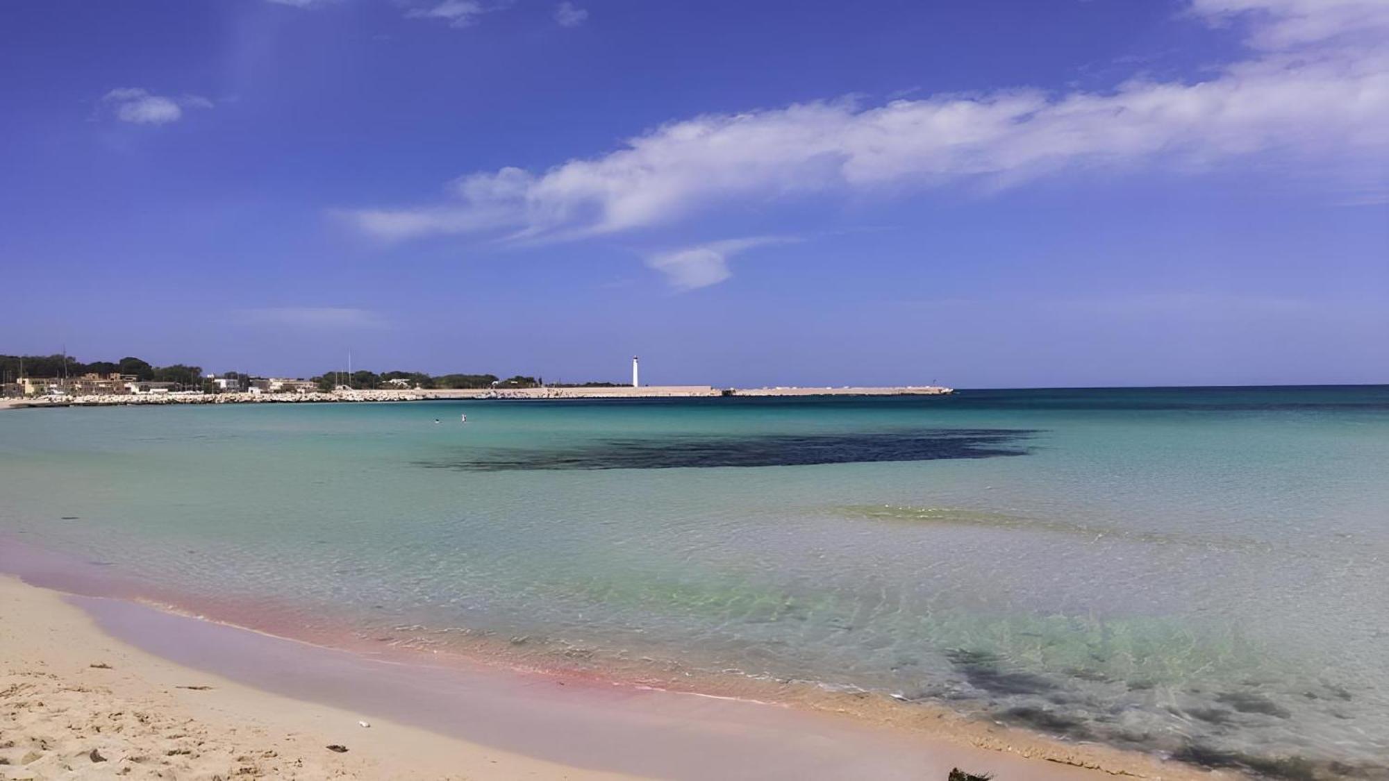 Araba Fenice 3*